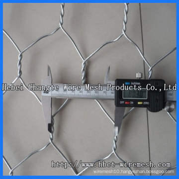 (PVC / Hot / Electric) Gabion Wire Mesh (6*8 8*10)